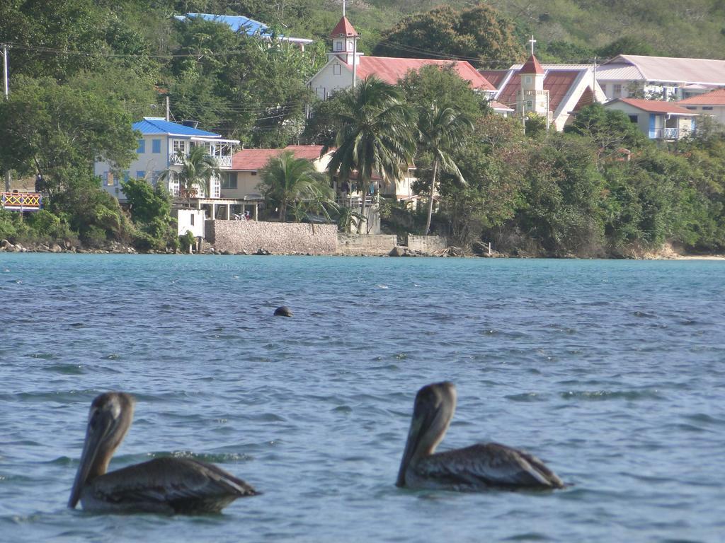 Posada Sunshine Paradise Providencia Island Exterior foto