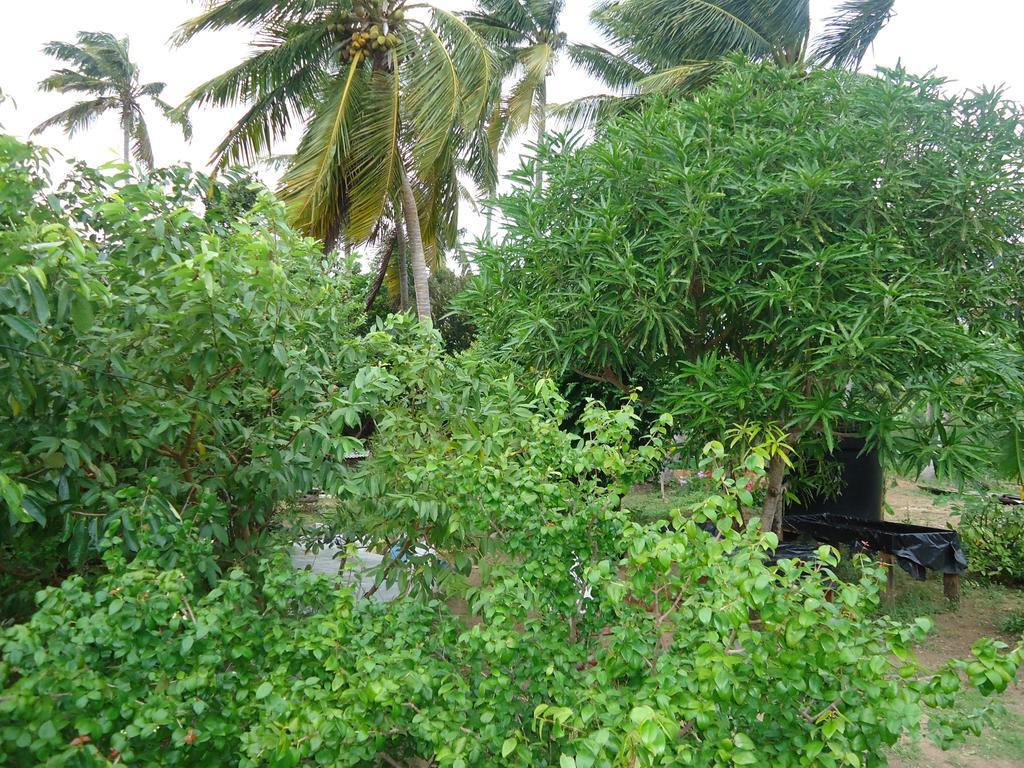 Posada Sunshine Paradise Providencia Island Exterior foto