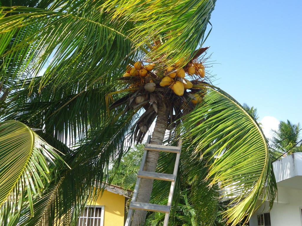 Posada Sunshine Paradise Providencia Island Exterior foto